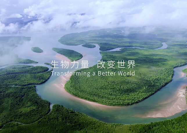 德晋贵宾厅品牌宣传片